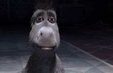 Image result for Donkey Staring Meme