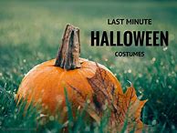 Image result for Easy Last Minute Adult Costumes Halloween