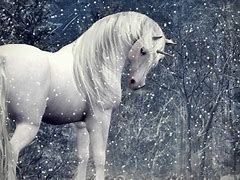 Image result for Mystical Unicorn Wallpaper