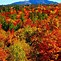 Image result for Fall in New England