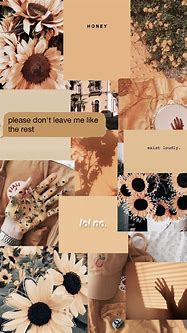 Image result for Pastel Brown Aesthetic