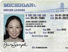 Image result for Back of ID Card Real