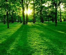Image result for Nature BG for Web Page