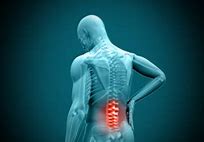 Image result for Lumbar Spine Lateral View