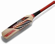 Image result for A Cricket Bat