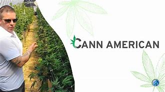 Image result for cann�ceo