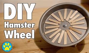 Image result for Flying Saucer Wheel Hamster
