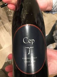 Image result for Cep Pinot Noir Sonoma Coast