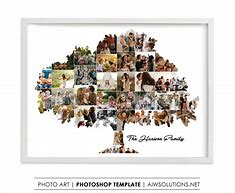 Image result for Collage Examples Tree
