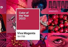 Image result for 2015 Year Color