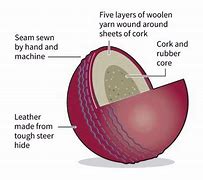 Image result for Cricket Ball Diagram