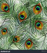 Image result for Peacock Feather Pattern