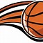 Image result for Fake NBA Logo