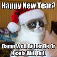 Image result for Cat Meme for New Year