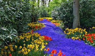 Image result for Beautiful Nature with Flowers