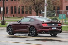 Image result for EcoBoost Mustang Colors 2018