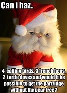 Image result for Christmas Cat Humor