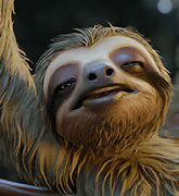 Image result for Sloth 8K