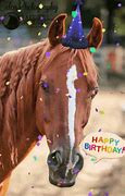 Image result for Happy Birthday Horse Meme