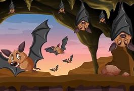 Image result for Bat Animate