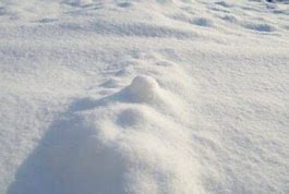 Image result for What Does 3 Inches of Snow Look Like