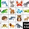 Image result for Memory Matching Game Template