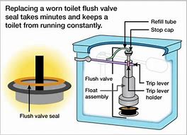 Image result for Toilet Flush Valve Seal