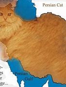 Image result for Iran Map Cat