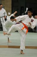 Image result for Karate School