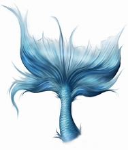 Image result for Mermaid Tail Illustration
