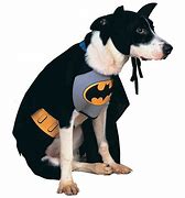 Image result for Batman Puppy