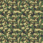 Image result for Camo Orange iPhone Case