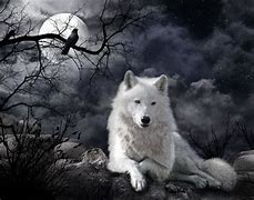 Image result for Wolf Images Art