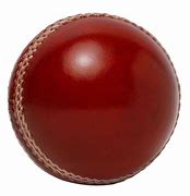 Image result for Cricket Bat Leather Ball