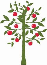 Image result for Pic of Apple Tree