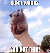 Image result for You Can Do It Funny Animal Meme