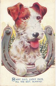 Image result for Vintage Dog Postcards