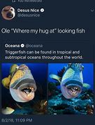 Image result for Fish with Teeth Meme
