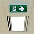 Image result for Fire Exit Sign for Ceiling