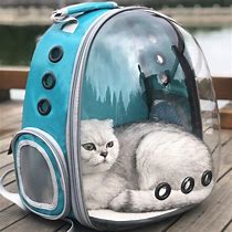 Image result for Clear Cat Cases