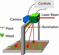 Image result for Laser Weed Control