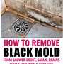 Image result for How to Clean Mold Off Ceiling
