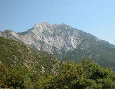 Image result for Greece Andor's