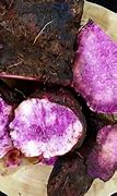 Image result for Inside of Purple Yam
