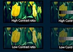 Image result for Contrast Ratio Test