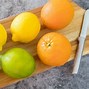 Image result for Citrus Slices