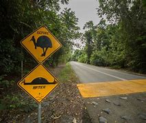 Image result for Funny Traffic Signs