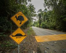 Image result for Funny Street Signs