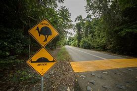 Image result for Funny Signs