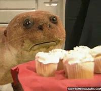 Image result for Bad Taxidermy Otter